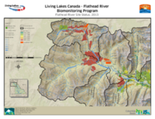 Flathead River Biomonitoring Program (Living Lakes Canada) - Flathead River Site Status 2013