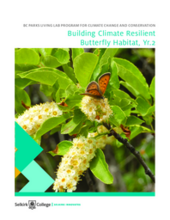 Building Climate Resilient Butterfly Habitat, Yr.2