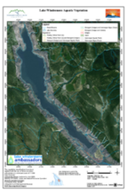 Lake Windermere Ambassadors - Classified Aquatic Vegetation in Lake Windermere