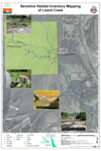 Elk River Alliance - Sensitive Habitat Inventory Mapping of Lizard Creek