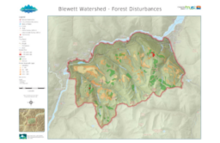 Blewett (Blewett Watershed Group) - Forestry Disturbances - Ledger Size