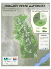 Duhamel Creek (Duhamel Watershed Society) - Forest Closure Map