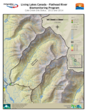 Flathead River Biomonitoring Program (Living Lakes Canada) - Cate Creek Site Status