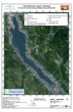 Lake Windermere Ambassadors - Provincially Regulated Speed Zone and Aquatic Vegetation