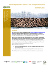 Forestry Cluster Research Report