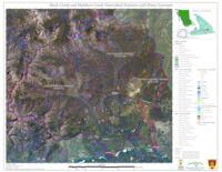 Mark/Mathew Creek (Mark Creek Recovery Program)