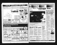 Castlegar Sun 1995-02-22