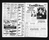 Castlegar News 1989-02-19