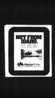 Castlegar News 1988-12-31