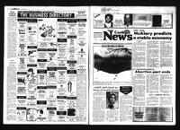Castlegar News 1985-03-20