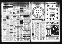 Castlegar News 1984-12-19