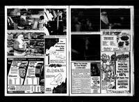 Castlegar News 1981-11-25