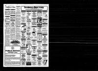 Castlegar News 1981-07-29
