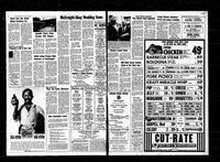 Castlegar News 1973-06-28
