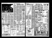Castlegar News 1972-04-13