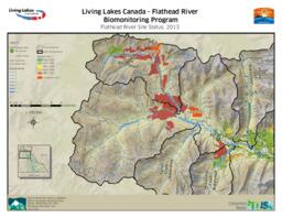 Flathead River Biomonitoring Program (Living Lakes Canada) - Flathead River Site Status 2013