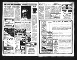   Castlegar Sun 1994-11-02   , page 10