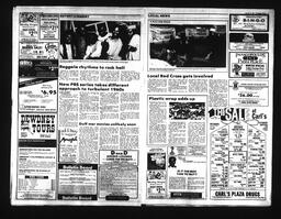 Castlegar News 1991-01-19, page 4