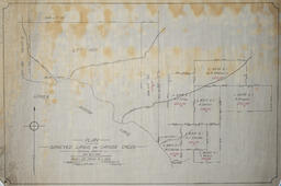 Plan of Kootenay Region (B.C.)--Surveys.ed Lands on Cayuse Creek Kootenay District B.C.: 