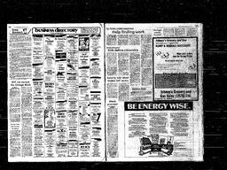 Castlegar News 1981-03-18, page 13