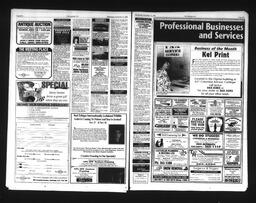   Castlegar Sun 1995-11-15   , page 14