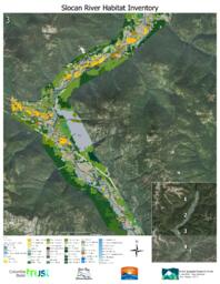 Slocan River Streamkeepers - Sensitive Ecosystem Inventory: Section 3