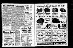 Castlegar News 1967-02-02, page 2