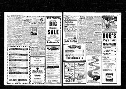 Castlegar News 1958-06-05, page 3