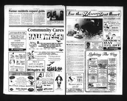  Castlegar Sun 1995-10-25   , page 11