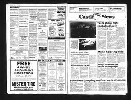 Castlegar News 1990-06-17, page 12
