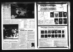 Castlegar News 1984-03-25, page 22
