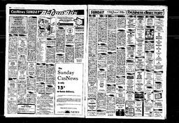 Castlegar News 1980-06-08, page 6
