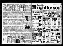 Castlegar News 1978-04-13, page 12