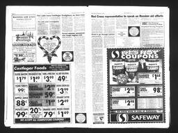   Castlegar Sun 1993-12-08   , page 3