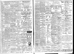   Rossland Evening Record 1897-04-21   , page 3