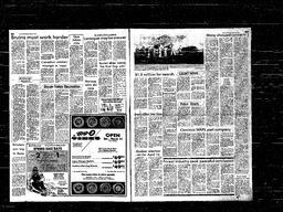 Castlegar News 1981-03-15, page 6