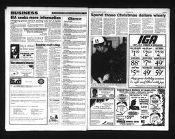  Castlegar Sun 1995-12-13   , page 11
