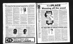 Castlegar News 1993-01-30, page 8