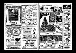 Castlegar News 1980-12-10, page 14