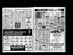 Castlegar News 1981-06-10, page 10
