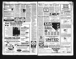   Castlegar Sun 1994-11-02   , page 11