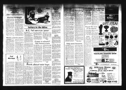 Castlegar News 1984-11-25, page 3