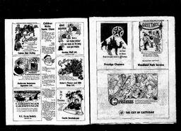 Castlegar News 1977-12-22, page 17