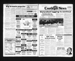 Castlegar News 1989-02-05, page 10