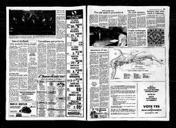 Castlegar News 1981-11-04, page 8