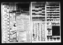 Castlegar News 1984-09-05, page 8