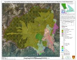 Mark/Mathew Creek (Mark Creek Recovery Program) - Forestry Development Activity