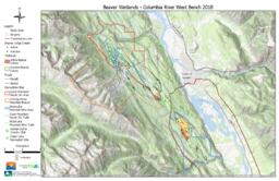 Wildsight Golden - Beaver Wetland Overview (without dams): Tabloid