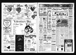 Castlegar News 1985-02-06, page 9