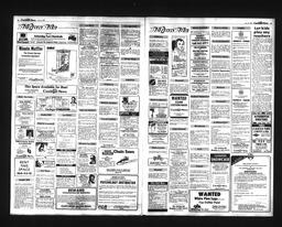 Castlegar News 1988-07-10, page 8
